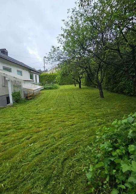 Nyklipt og pen stelt hage