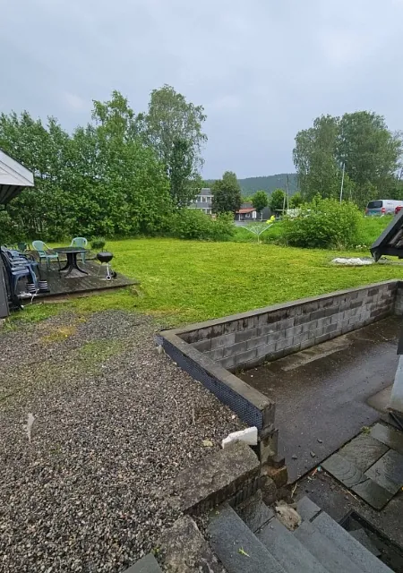Nyklipt gressplen